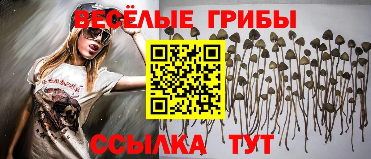Галлюциногенные грибы ЛСД  Вход с VPN  Лангепас 