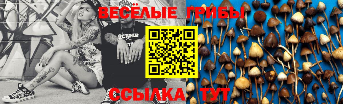 Псилоцибиновые грибы GOLDEN TEACHER Лангепас